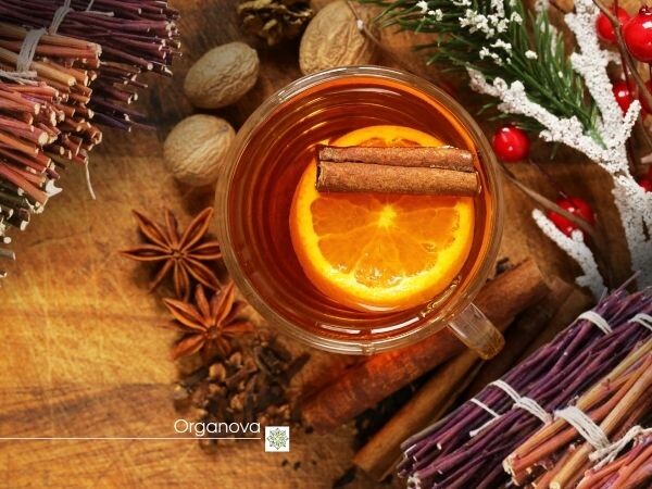 К зиме растения готовятся основательно. Они консервируют себя, превращая соки в природный «антифриз». 