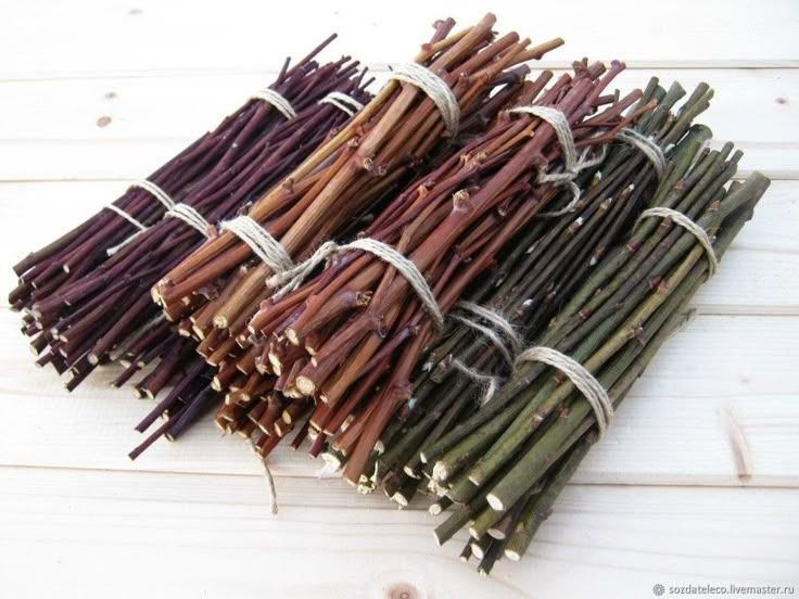  Пока мы скучаем по летним краскам, деревья и кустарники совершили удивительную работу: чтобы защититься от мороза, они накопили в своих молодых веточках целый концентрат биоактивных веществ — природных антиоксидантов, витаминов и минералов. 