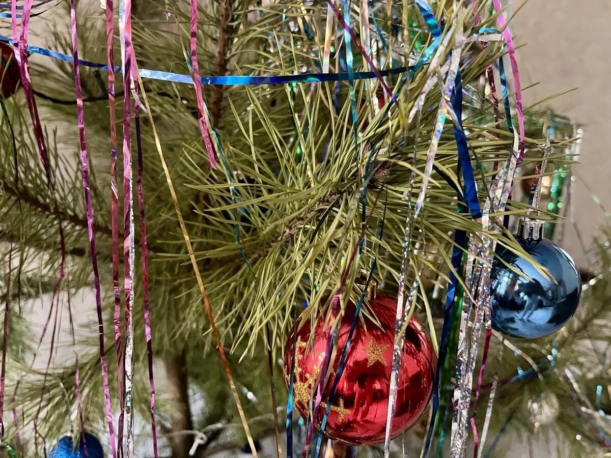    Фото: кадр 1Rnd