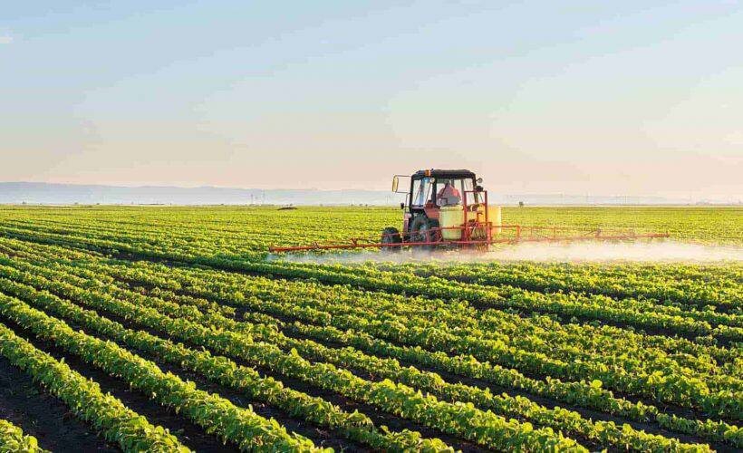 Фото: Инвестиционный портал Кыргызской Республики