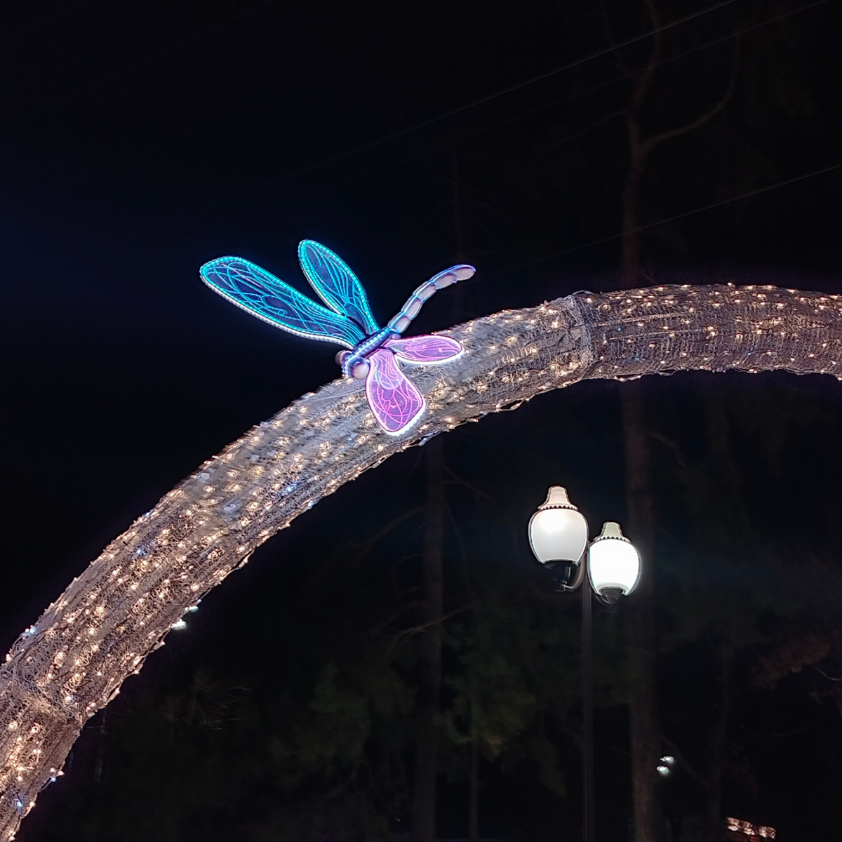 Прекрасно на улице Красной 