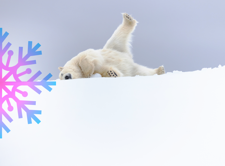 Приз зрительских симпатий. ﻿Брайан Хаммонд (Великобритания) / «Просто отдыхаю». Снимок сделан на На Шпицбергене