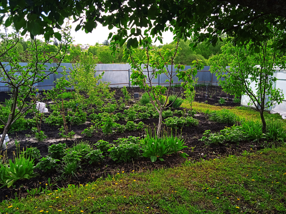 ЗЕМКЛУНИКА!!!