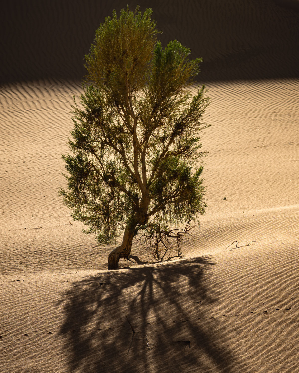 Зелень и песок.
