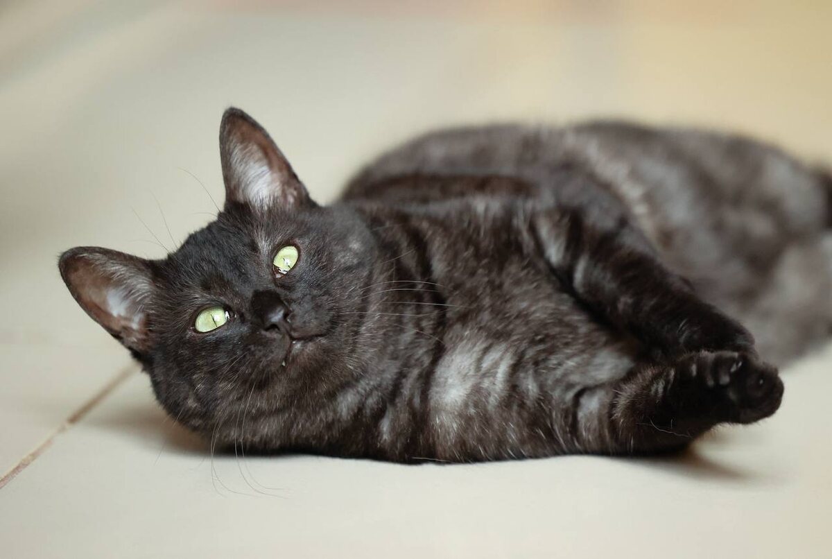 Да, я Валера!