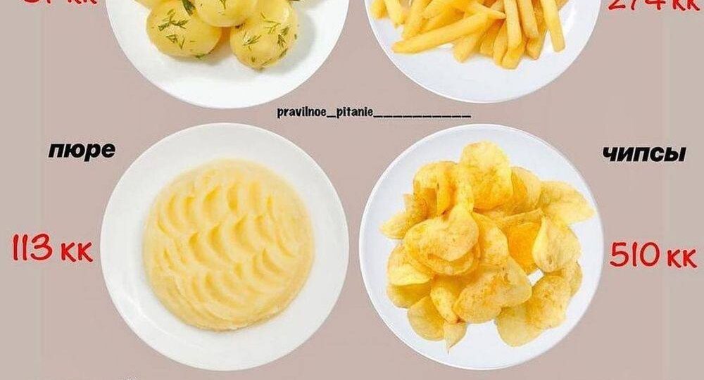 🥔 Почему картошка — не враг похудения: научный разбор мифа