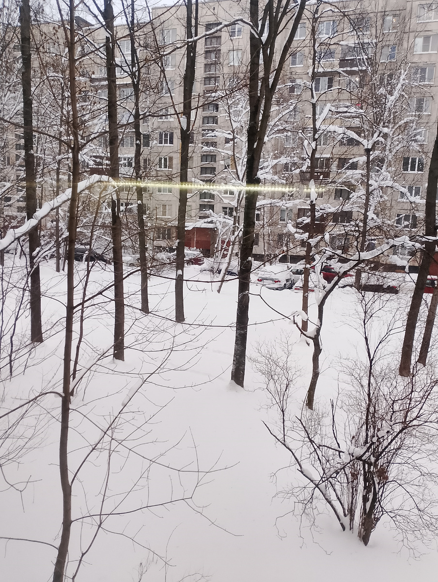 Фото автора.