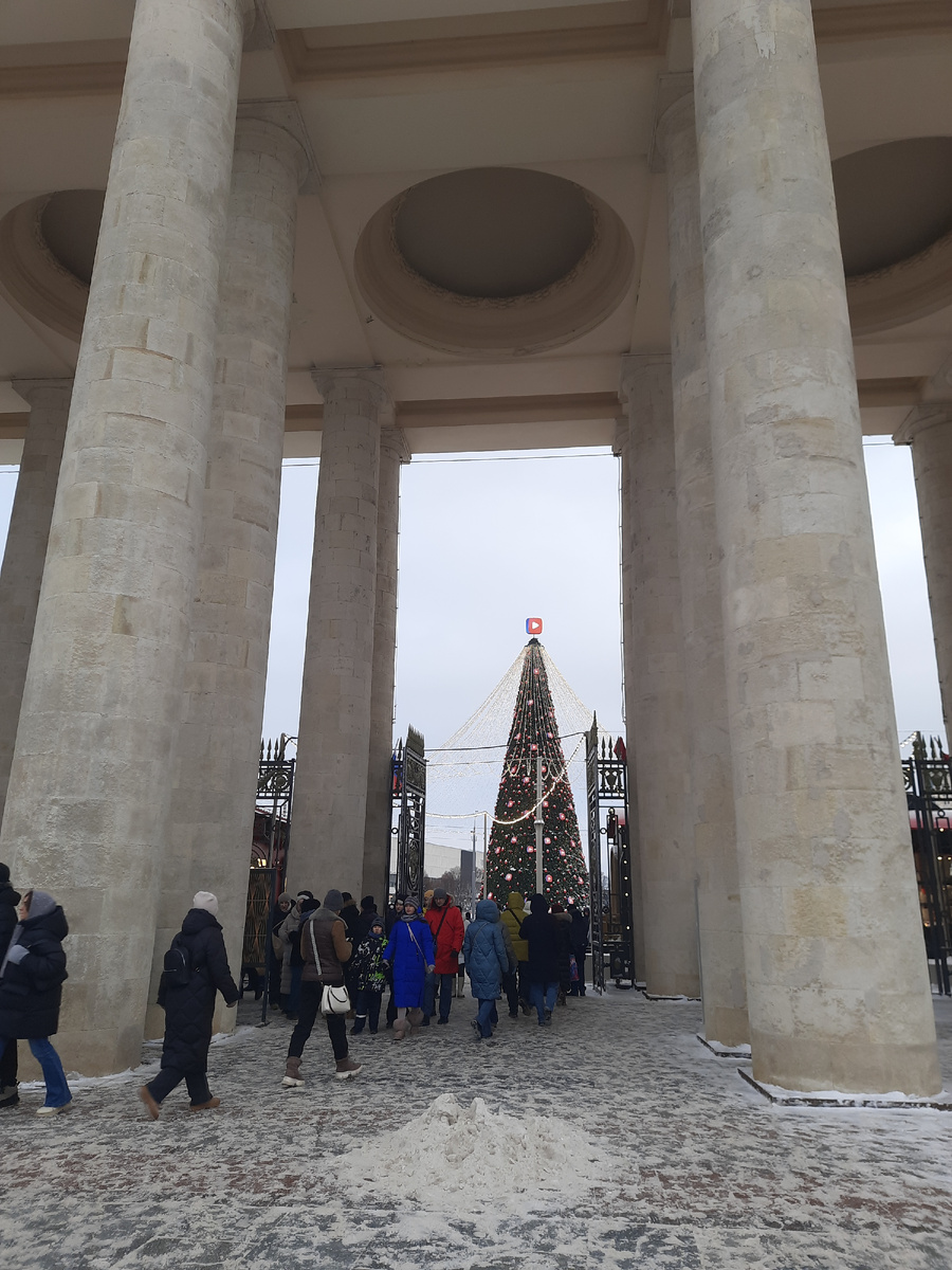 Все фото в статье автора