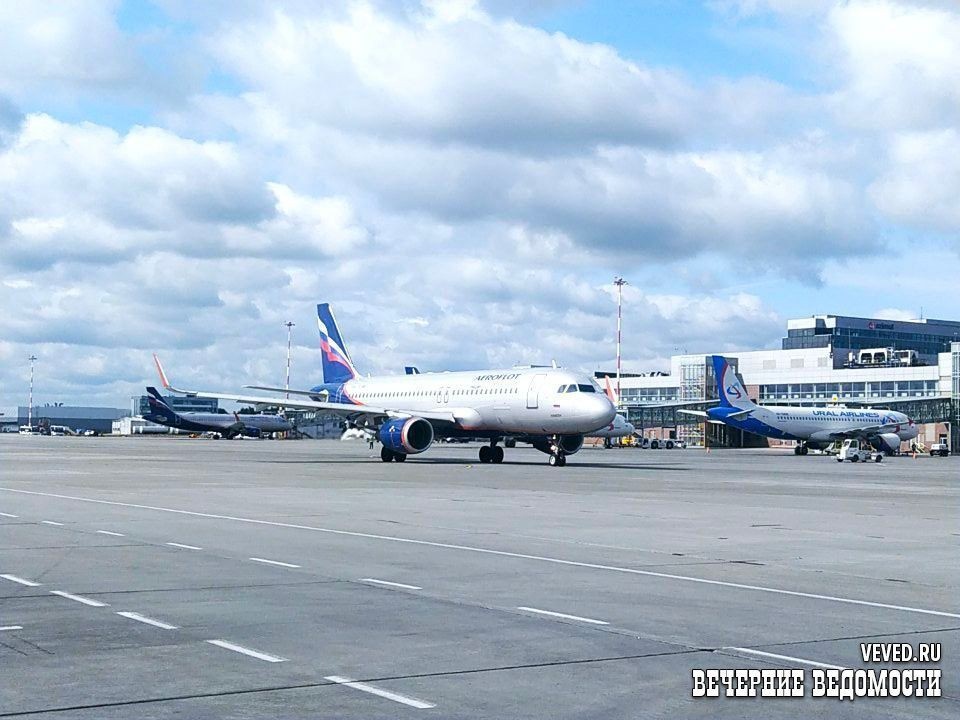     Фото: Юлия Кольтенберг / Вечерние ведомости