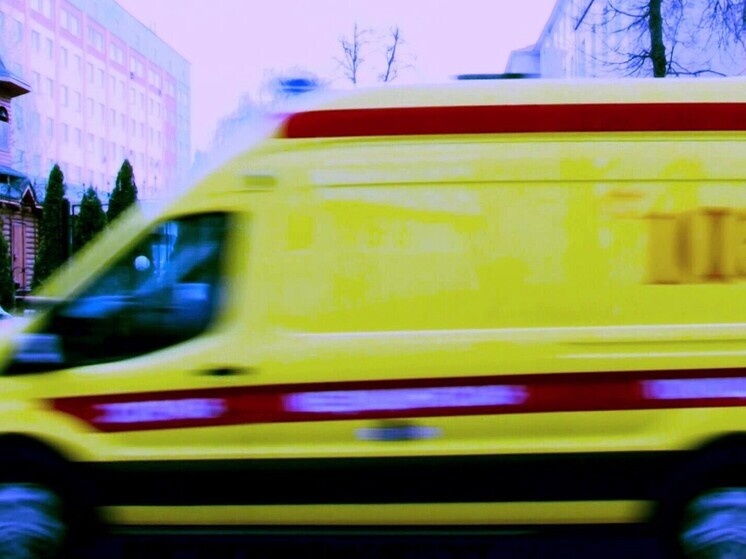     Фото: Василий Осипов