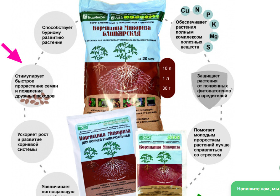    Проверяю утверждение, отмеченное красной стрелочкой