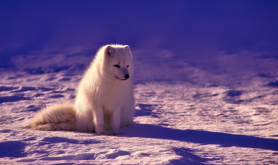 Это, кстати, писец