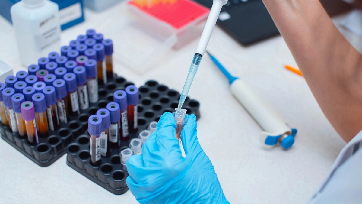    Фото: Salov Evgeniy/Shutterstock/Fotodom