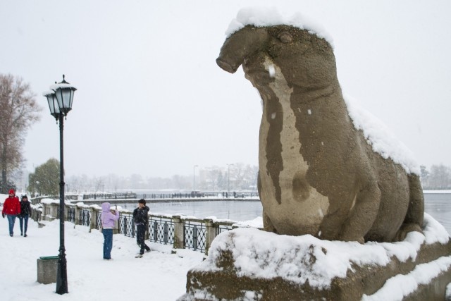   Фото из архива Калининград.Ru