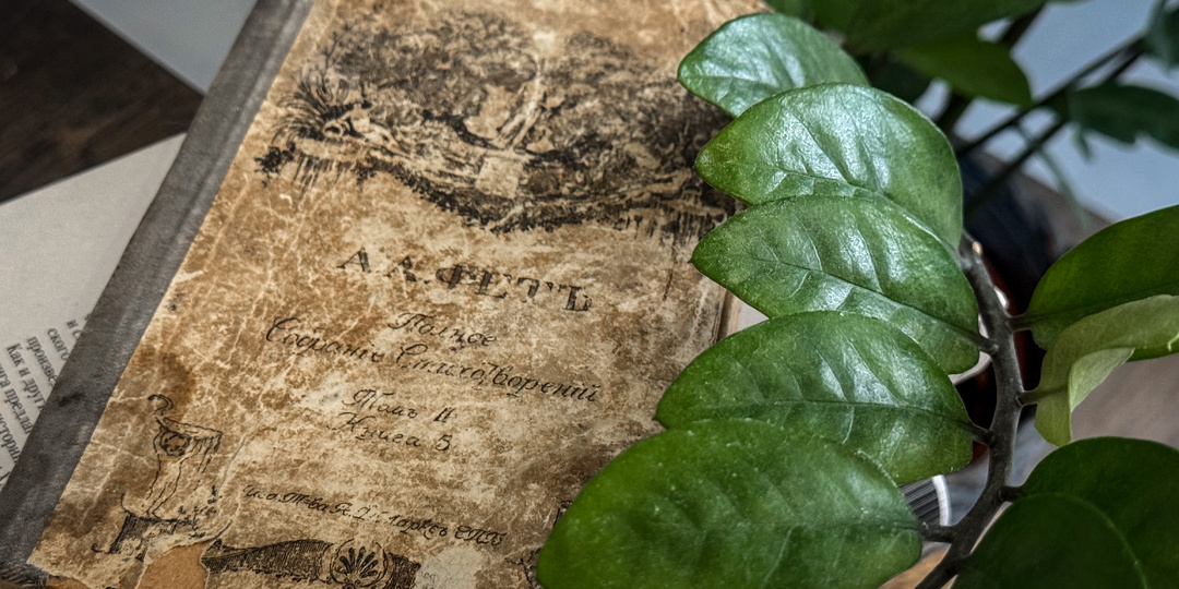 Мы не дарим подарки на Новый год. Но я все равно начала год с подарков