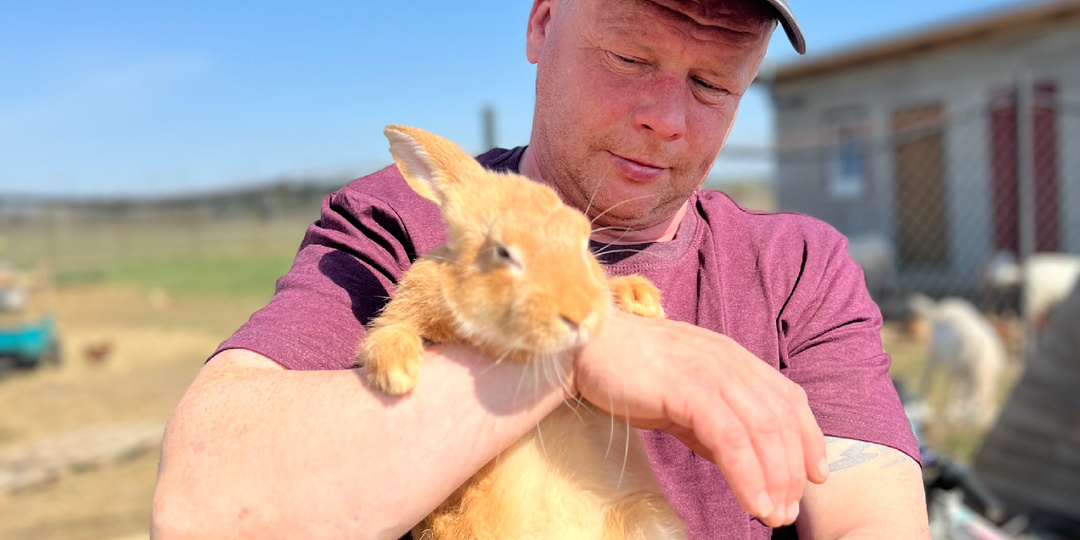 Как у нас бургундские кролики появились