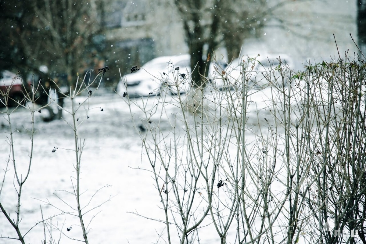    Фото: Луганский Информационный Центр/Чмирова Дарья