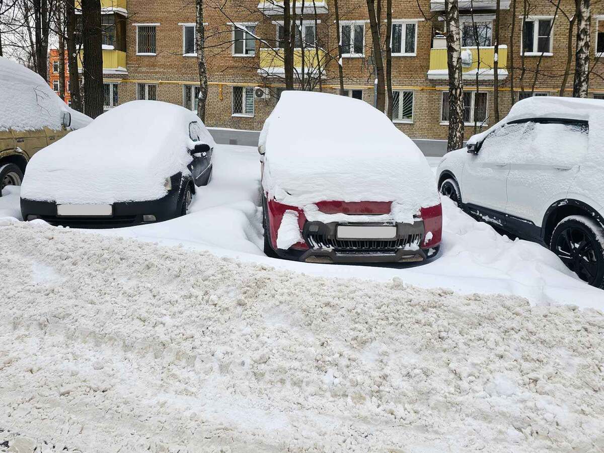 Москва. ВАО. 10 января 2026 года