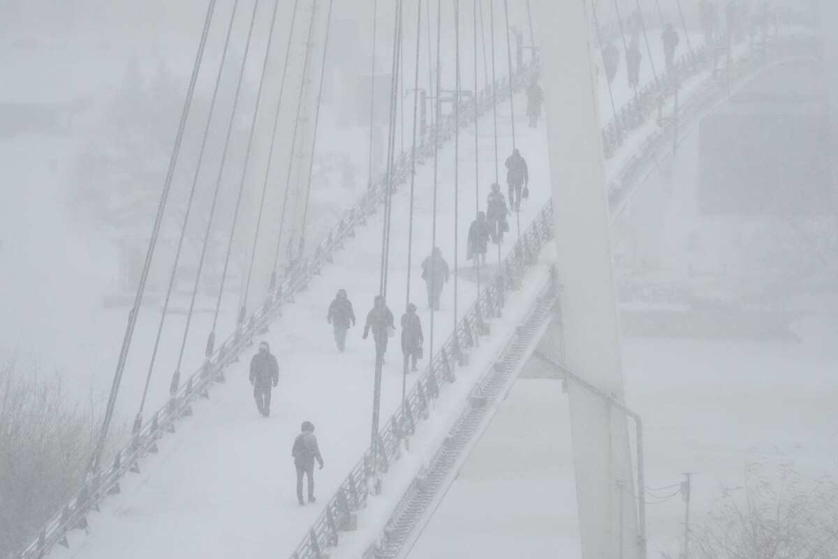     / Источник: © ИЗВЕСТИЯ/Дмитрий Коротаев