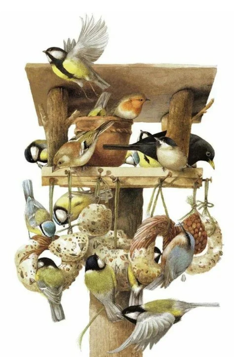 �������� ��������� ��������� ������