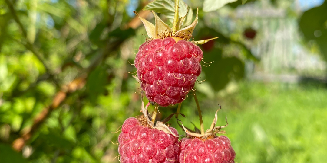 Человека можно назвать шеей?!