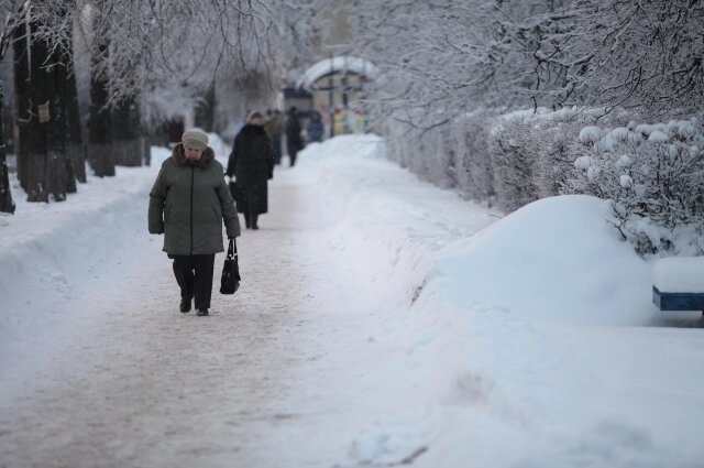    Фото: Андрей Степанов