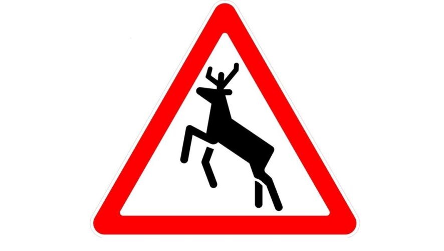    Фото: Госавтоинспекция Татарстана