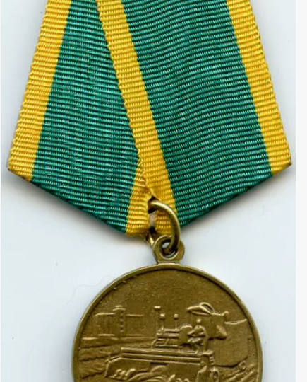 какие награды получали за Целину и как это отражалось в личном деле солдата или офицера?