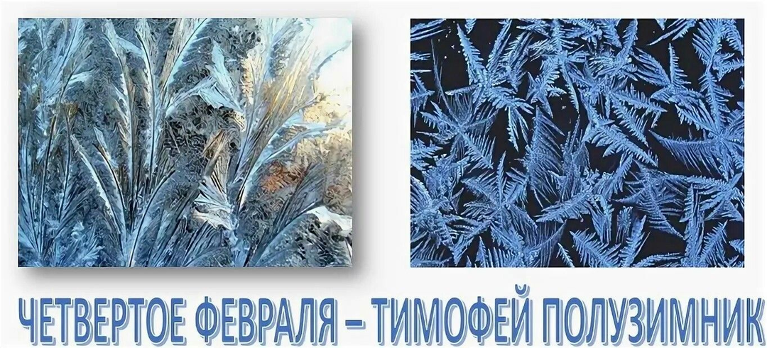 4 февраля: Тимофеев день, ползимы ушло.