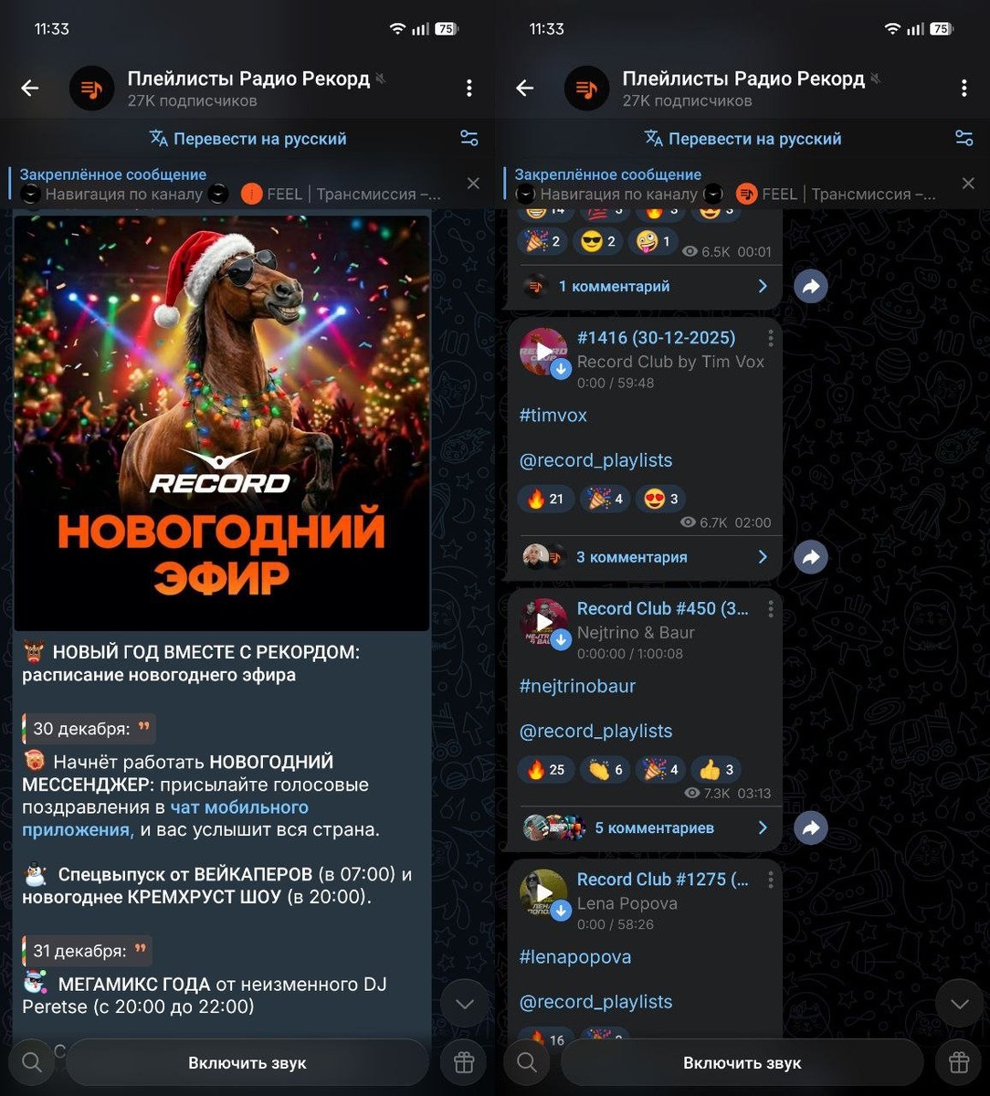    В канал попадают все шоу из эфира Рекорда, а также новые треки