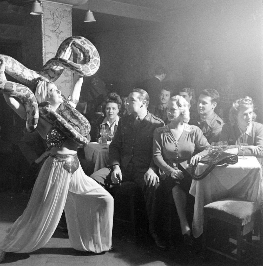 Танцовщица по имени Айша, обвитая двумя питонами, развлекала посетителей ночного клуба «Ла Паризианна» (La Parisiana) в Брюсселе в 1945 году.
Джордж Силк/Life Picture Collection/Shutterstock