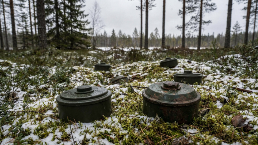   Сгенерировано с помощью ИИ