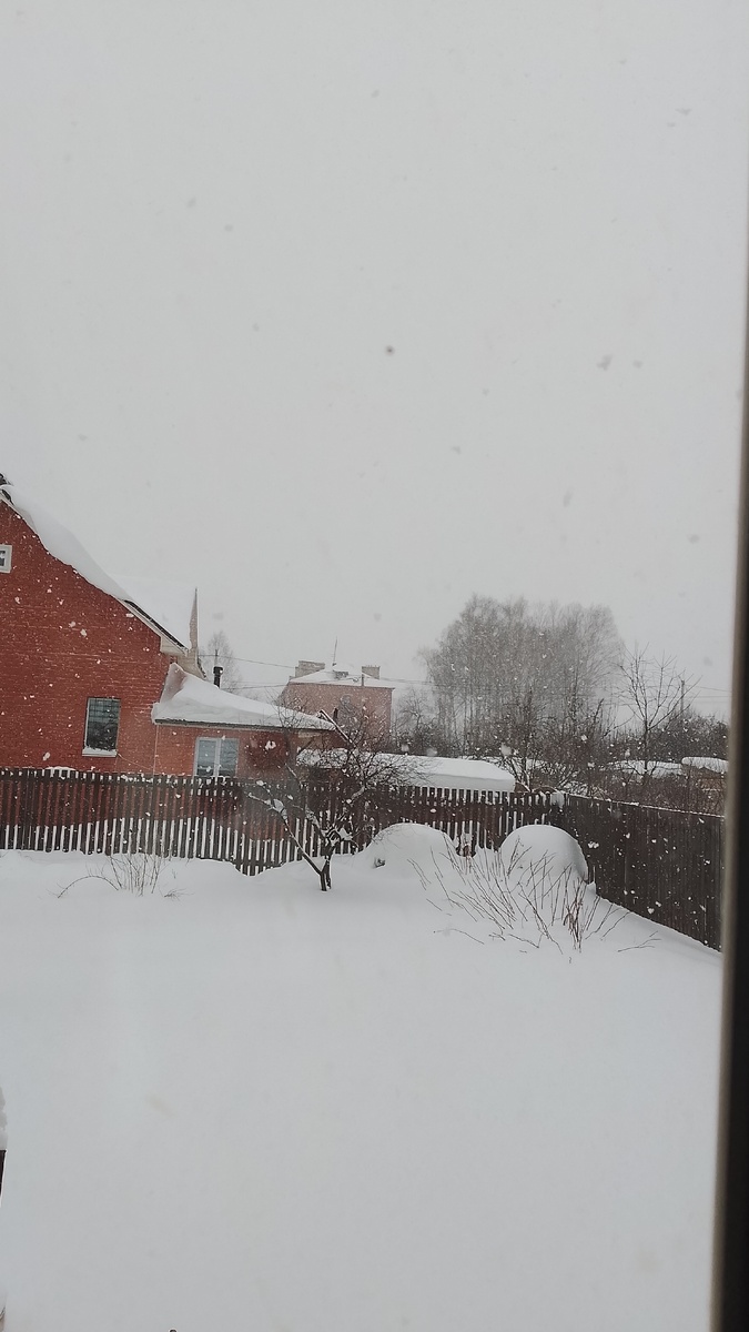 Так было три дня назад. 