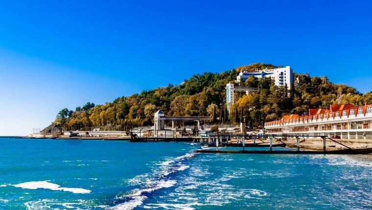    Фото: Newlander90/Shutterstock/Fotodom