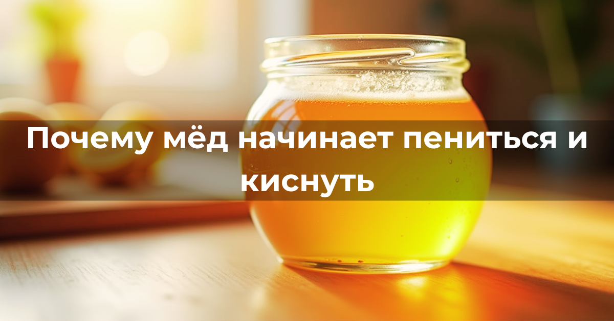 Банка натурального мёда с небольшими пузырьками и лёгкой пеной на поверхности, стоящая на деревянном столе при мягком естественном освещении