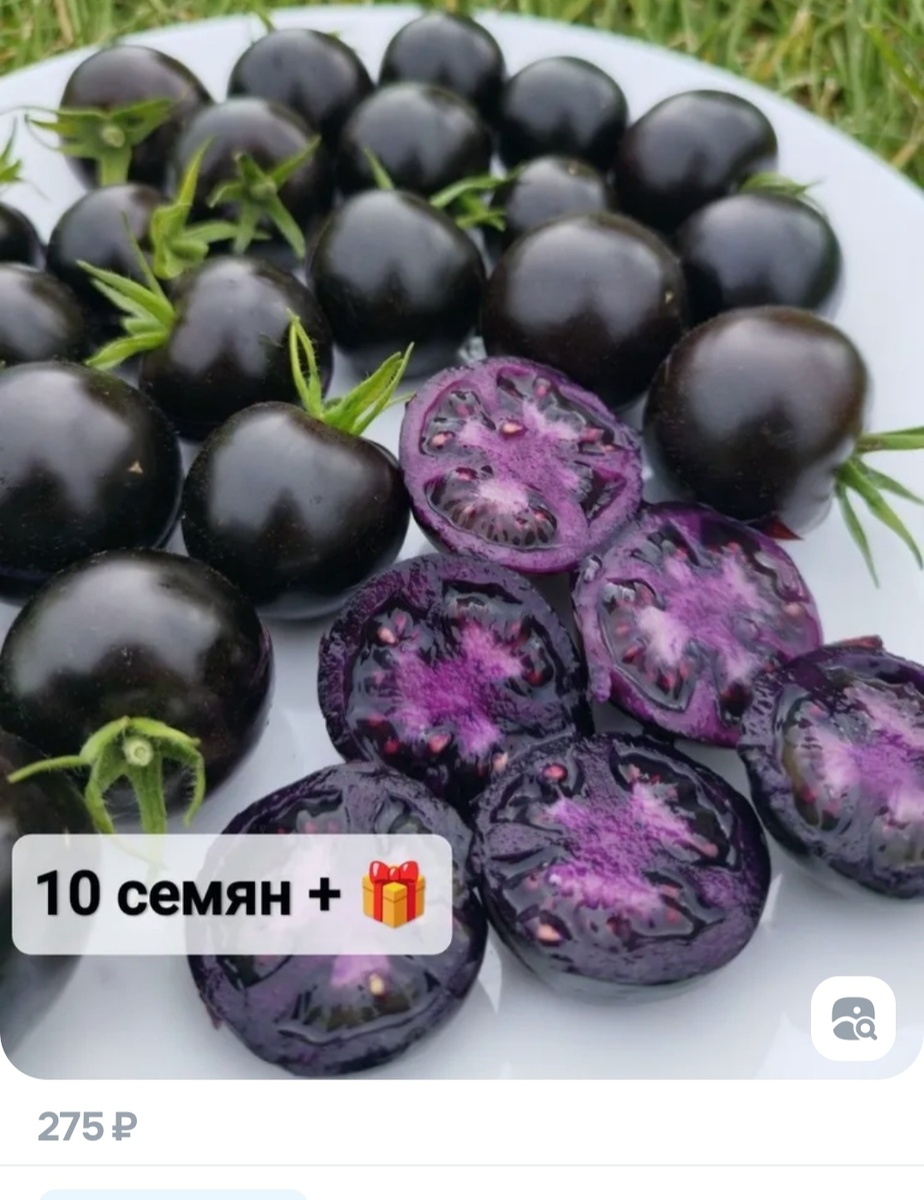 Фото из интернета 