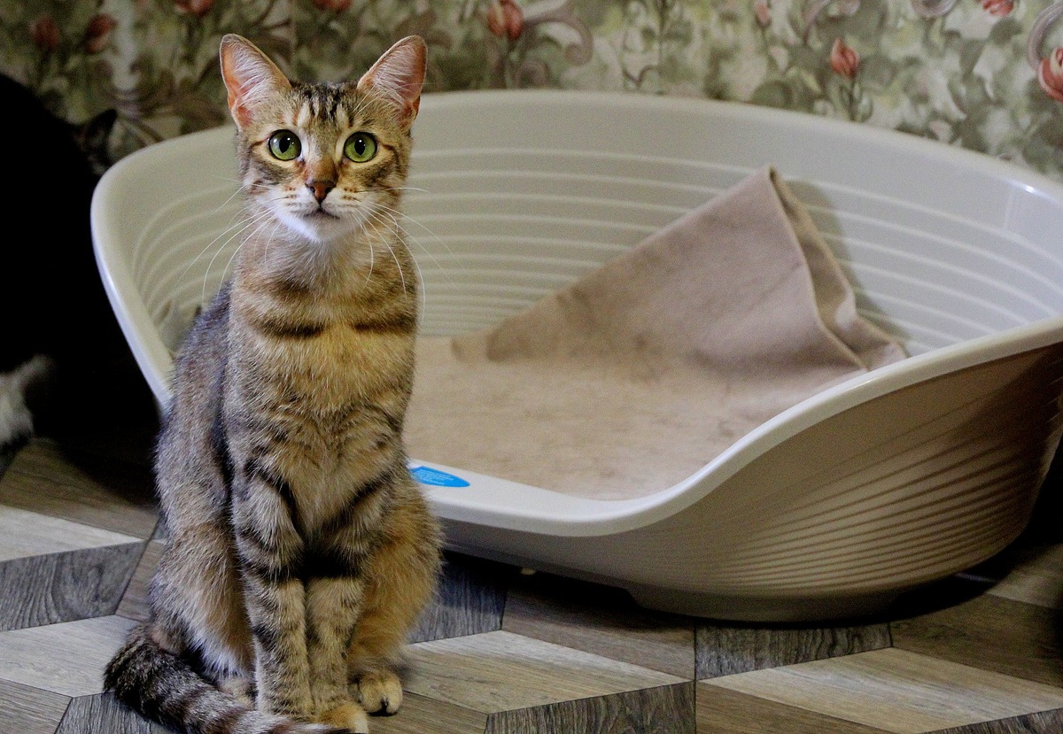 Давно про меня не писали кураторы! Ай-я-яй!