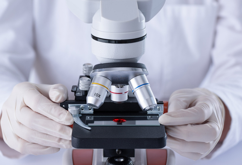    Shutterstock/FOTODOM