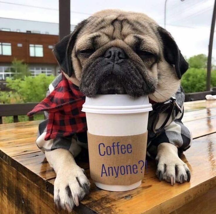 источник фото: https://i.pinimg.com/736x/78/5f/0b/785f0b56901367c7489dd4241527baa9.jpg