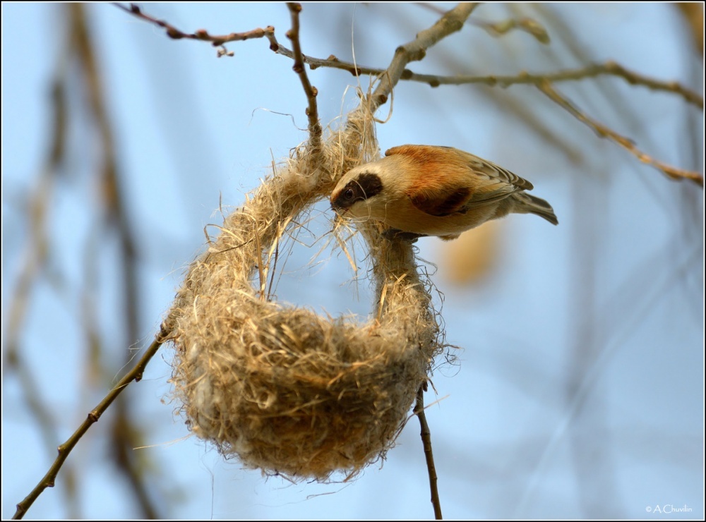 Фотография из интернета