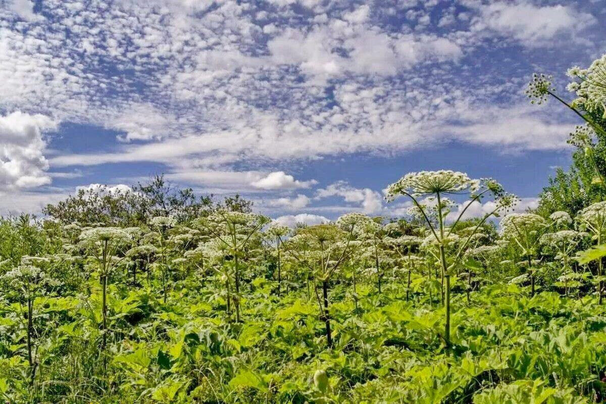 Источник: https://clck.ru/3RDMvt