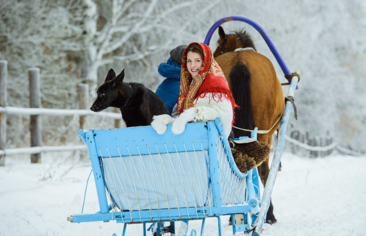 Пообщаться с обитателями конефермы в компании её владелицы и получить яркие эмоции во время катания