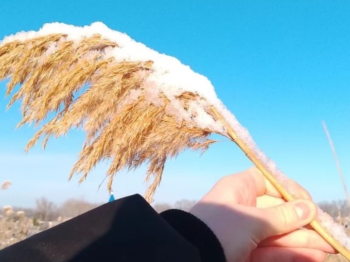 Солнечный день и разбор заброшенного подвала.🔓