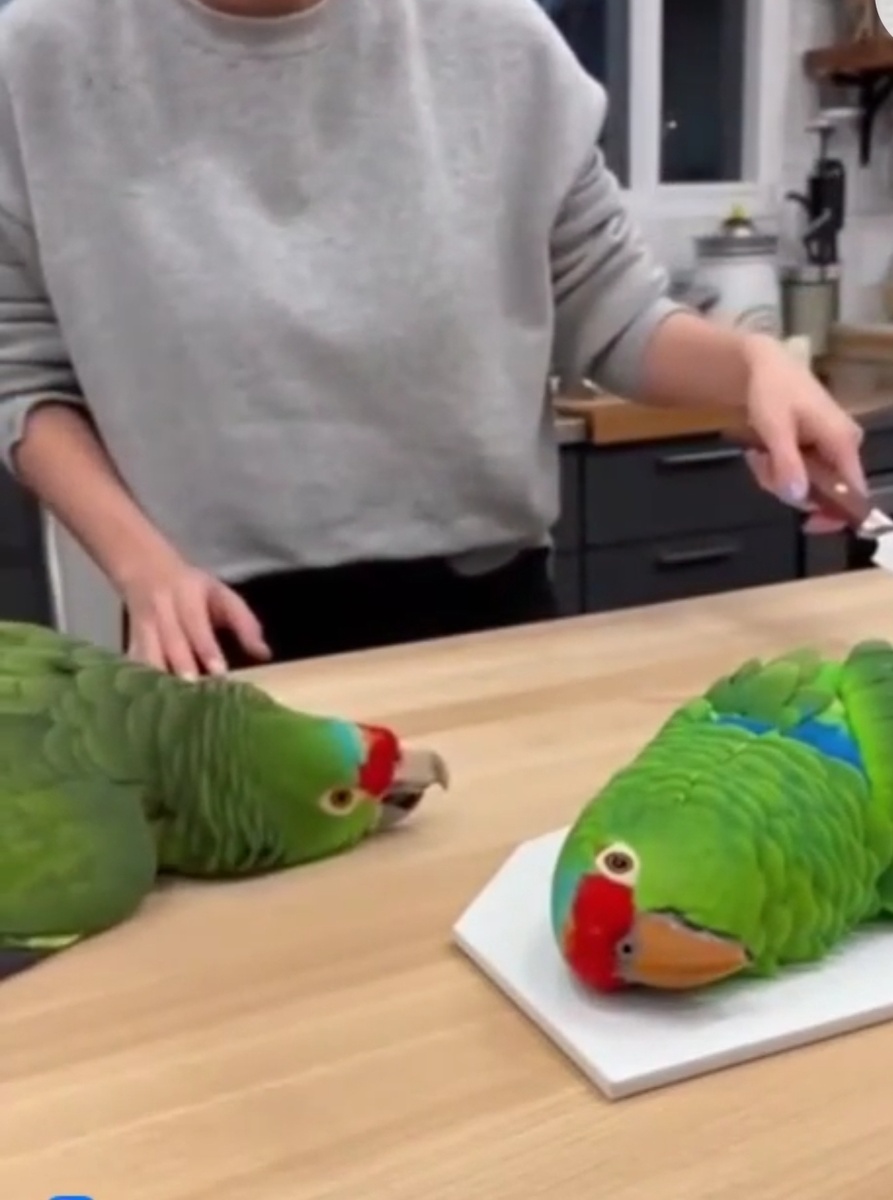 Скриншот из видео - "тогда режь обоих"