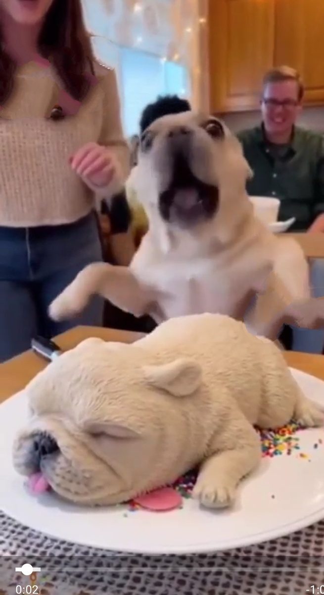 Скриншот из видео - "помогииите же!!!!"