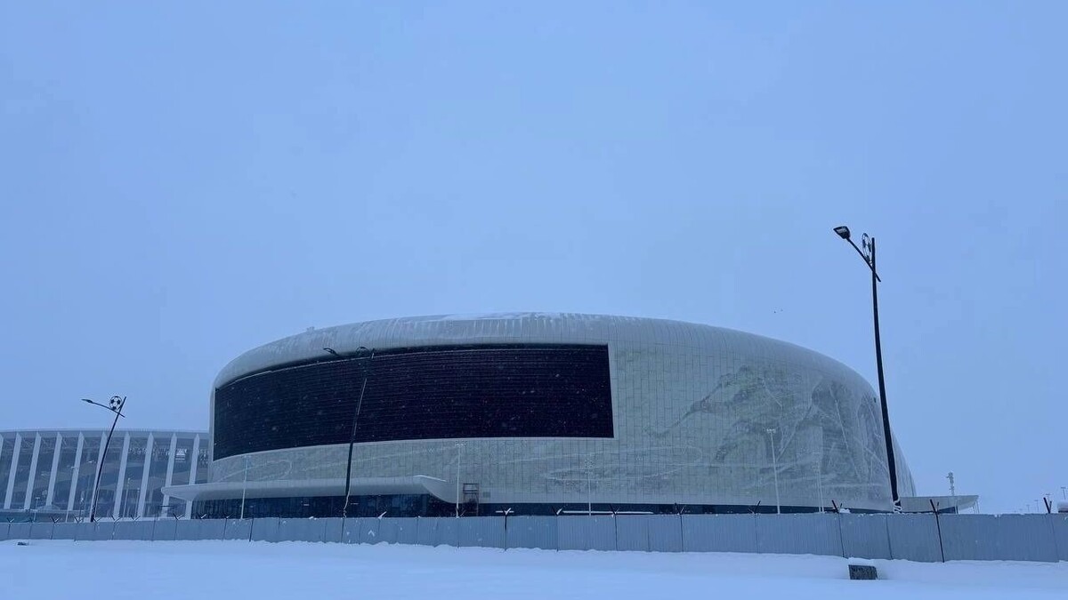 Листайте вправо, чтобы увидеть больше изображений