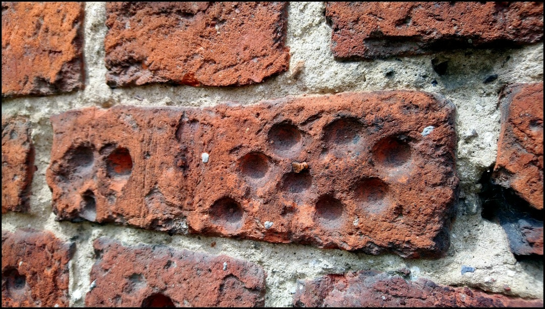 Всем нам хорошо знакомые фридландские «кругляши»