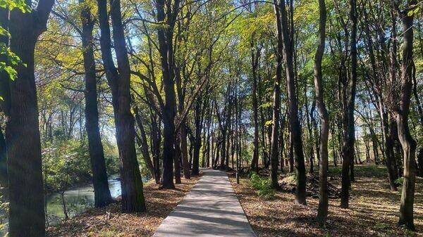    © Photo : ТГ-канал главы РСО-Алания Сергея Меняйло