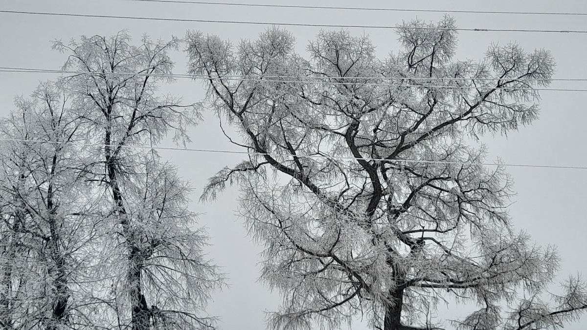 Листайте галерею