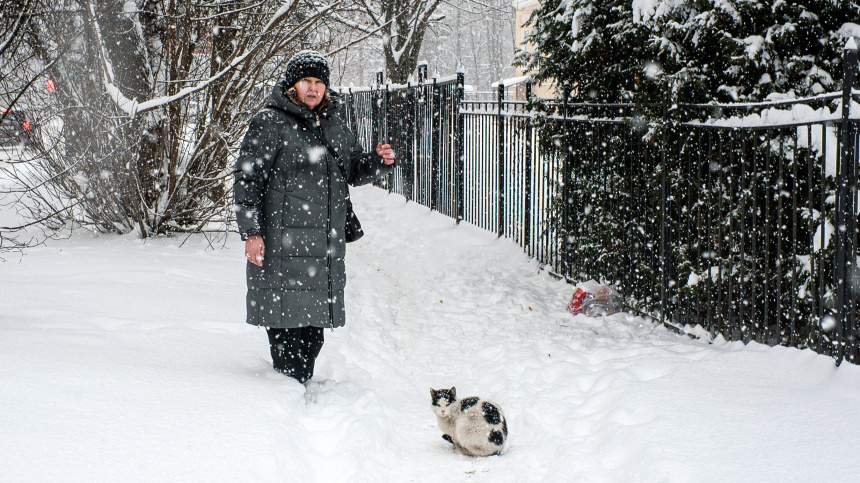    Фото: © РИА Новости/Алексей Даничев; 5-tv.ru
